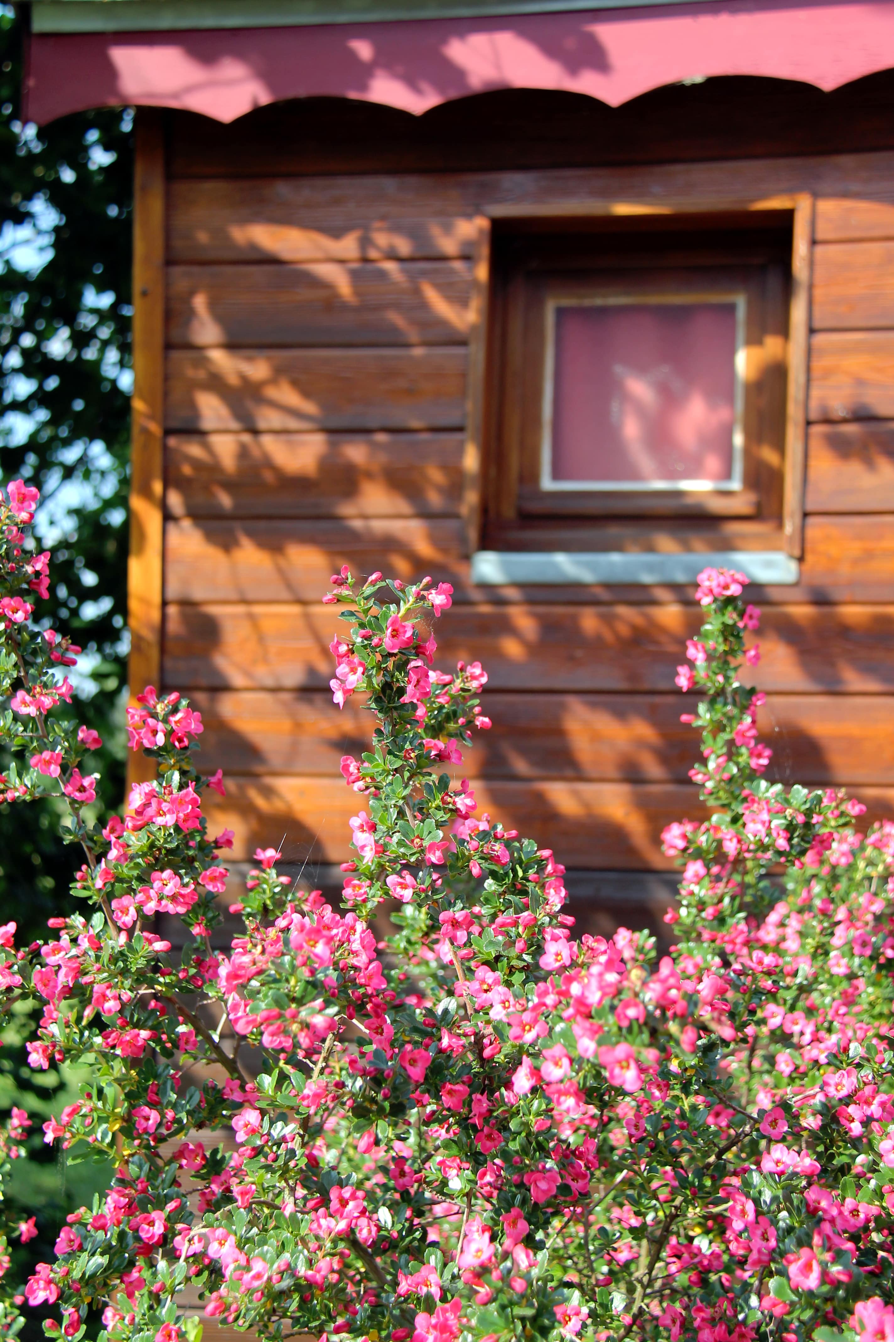 Roulotte - Ferme de Champliveau